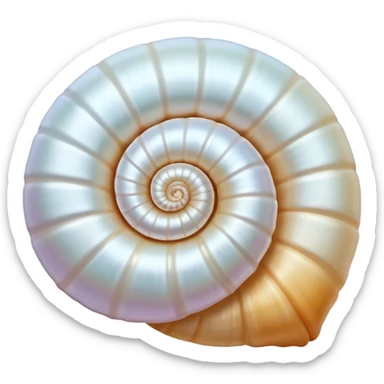 White sea shell sticker