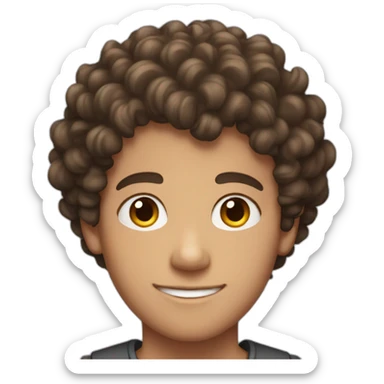 A brunette boy with curly hair, not long, who is 16 years old sticker