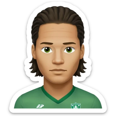 Virgil van dijk wearing green shirt sticker