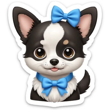 black and white chihuahua ￼with a collar with a bow on it but it’s blue sticker