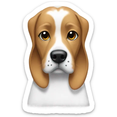 Dog with vetements sticker