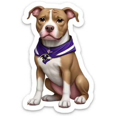 Tan and white pit bull dog wearing Baltimore ravens clothes   sticker