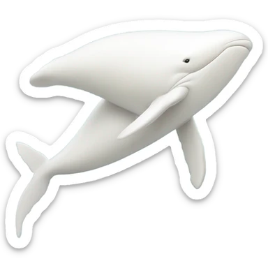 white whale , underside sticker