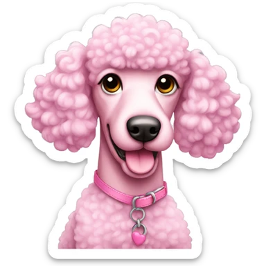 Pink poodle  sticker