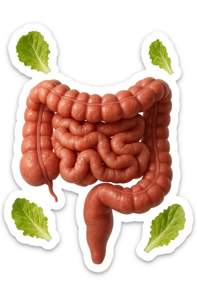 INTESTINO ANATOMICO UMANO REALISTICO INSIEME A FOGLIE DI INSALATA CHE FLUTTUANO IN ARIA, IPERREALISTICO 4K sticker