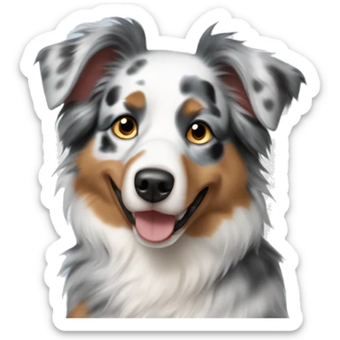 Australian shepherd blue Merle sticker