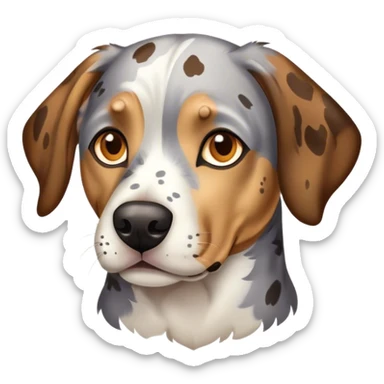 Catahoula dog with brown eyes sticker