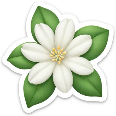 Jasmine flower sticker