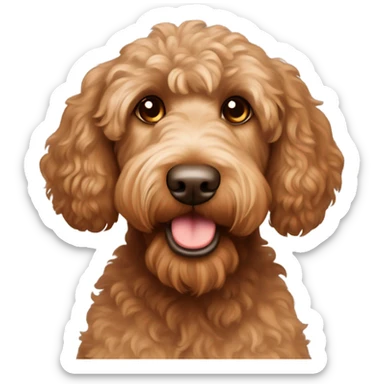 Labradoodle brown apricot with big ears brown eyes sticker