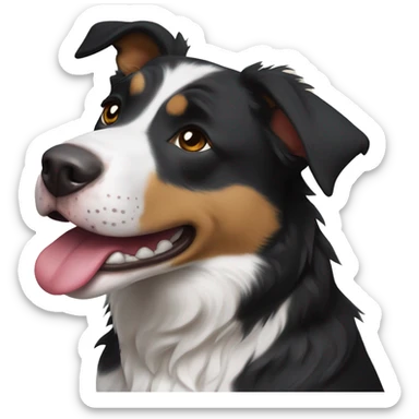 Pitbull border collie  mix ￼ sticker