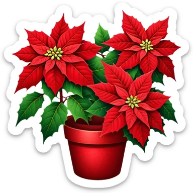 Red poinsettia  sticker