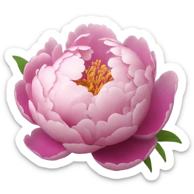 Peony  sticker