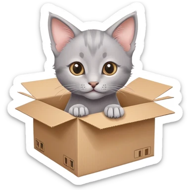  A very cute gery young kitten cat with one's head tilted to one side poked its paws out of the cardboard big box and placed them on top of it sticker
