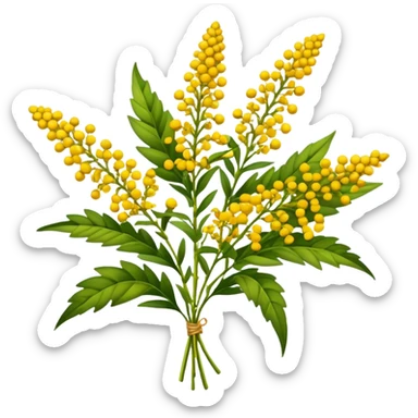 big bouquet Goldenrod, luxuriant, stem, leaf, bright sticker