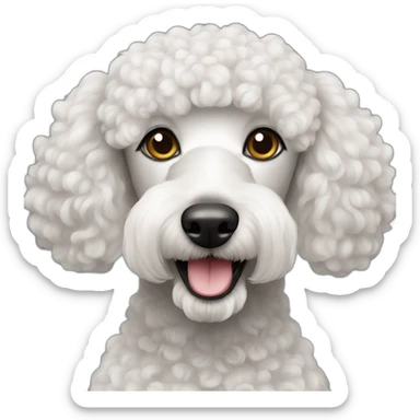Yemeni poodle sticker