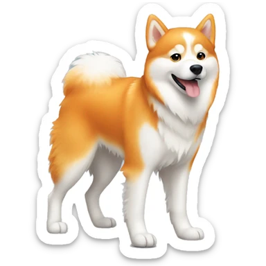 Orange fluffy husky walking  sticker
