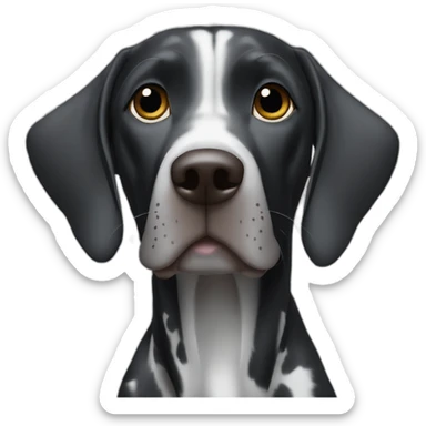 black german shorthair pointer, long snout, full black head, without white on the head, with white hair on the snout, black and white spotted body sticker