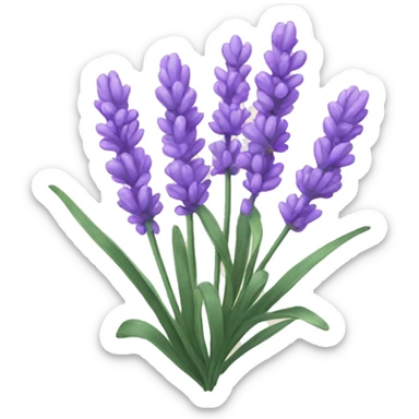 Lavender sticker
