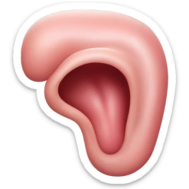 “A detailed illustration of a human stomach, with its curved shape, inner lining, and digestive features, showing subtle shading and a natural pinkish hue.” sticker