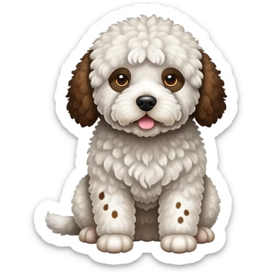 White spanish water dog with some brown spots  sticker