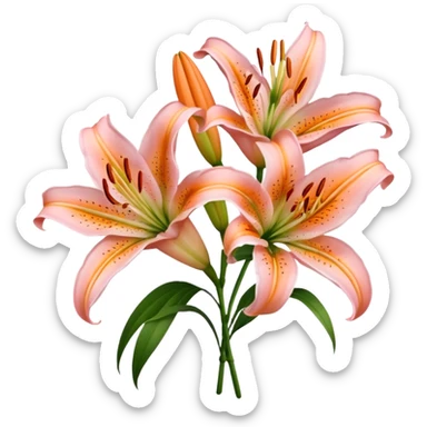 bouquet of light pink and orange oriental lilies sticker