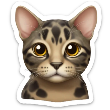 Tortoise cat with white chin  sticker