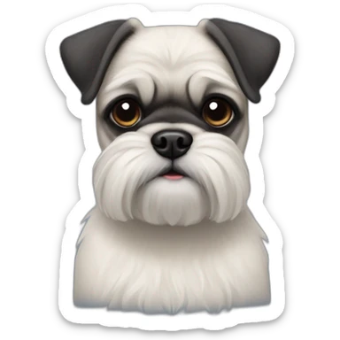 pug x schnauzer with white furr sticker