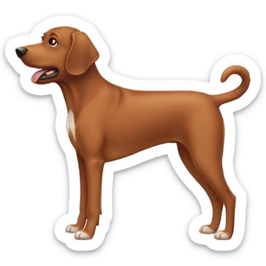 Brown dog sticker