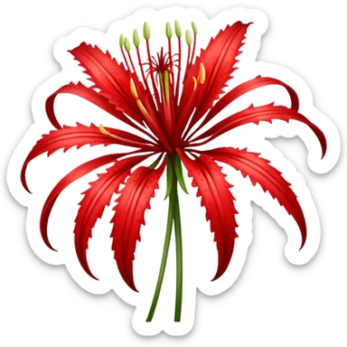 wilting red spider lily  sticker