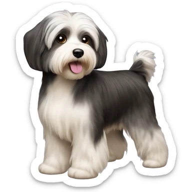 Short hair havanese dog   sticker