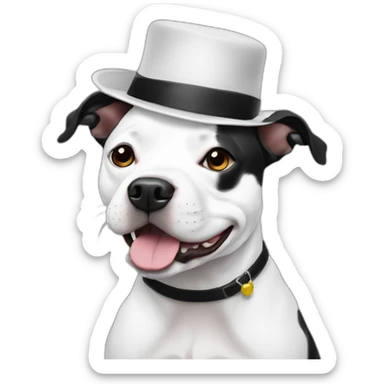 Black and white staffy with small hat sticker