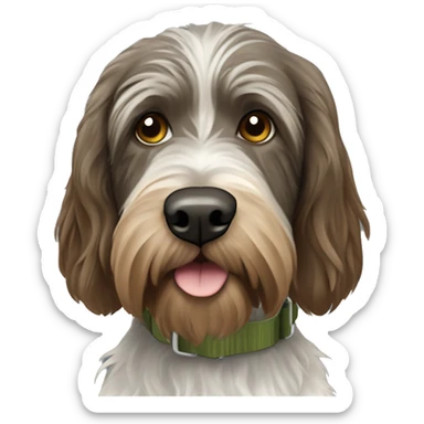 Black, brown and white wire-haired pointing griffon with an olive green collar sticker