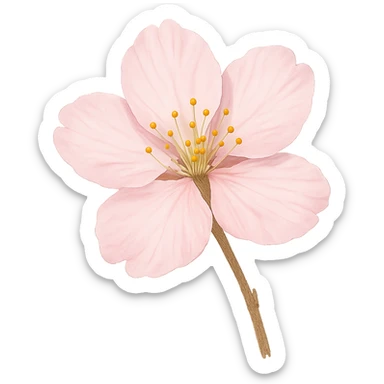 sakura cherry blossom flower, remove background sticker