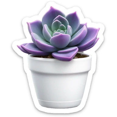 Purple echeveria succulent in white pot sticker