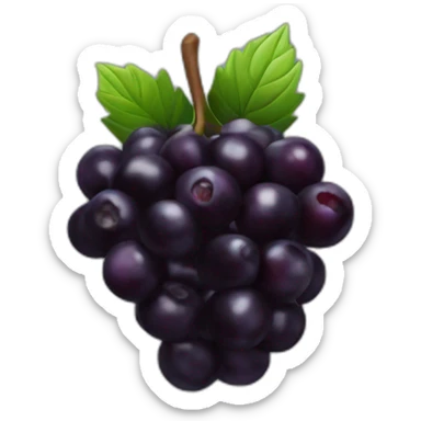 black berry fruit sticker