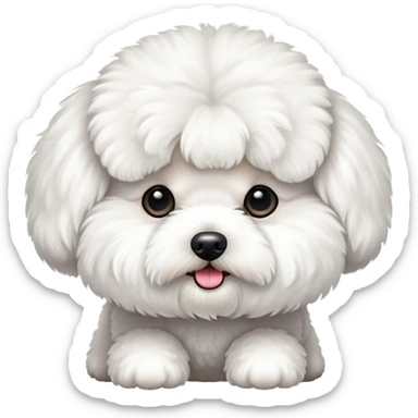 Bichon frise sticker