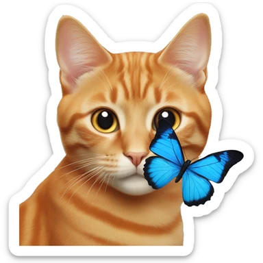 Orange cat with Blue butterfly on it’s nose  sticker