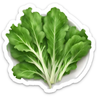 arugula salad sticker