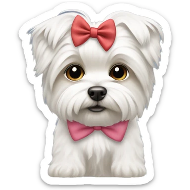 White morkie with bow  sticker