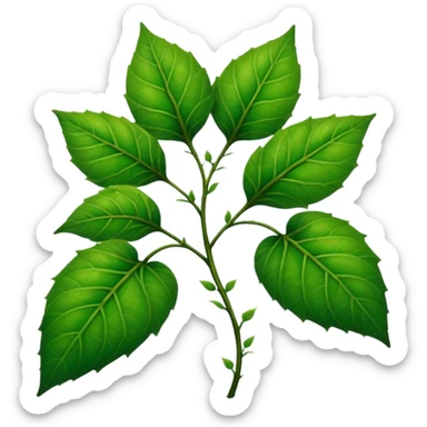 Poison ivy sticker
