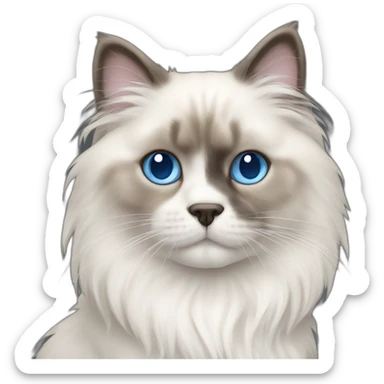 ragdoll-cat-with-blue-eyes-dog sticker