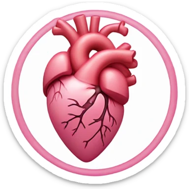 Pink anatomical heart sticker