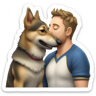 A Swedish Vallhund kiss a man sticker