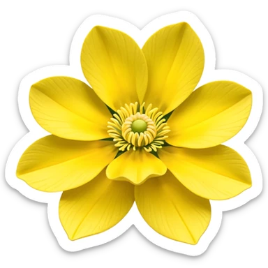 Yellow woodland anemone sticker