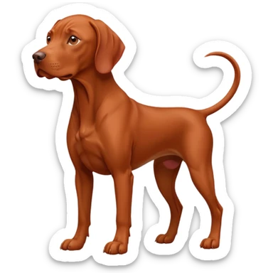Omnipotent omniscient vizsla sticker