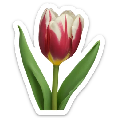 Tulipanes celestes sticker