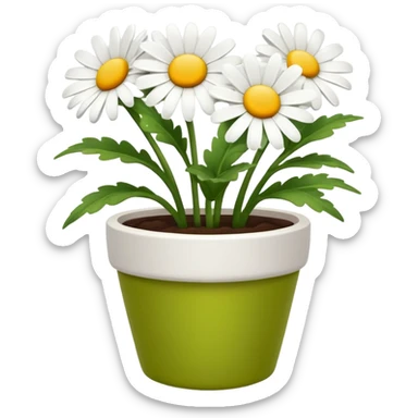 daisy flower pot sticker