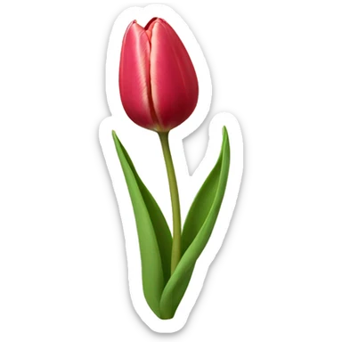 Tulip sticker