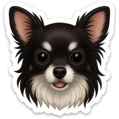 Make the chihuahua's head slimmer and add more black areas on the face while keeping the long fur and the colors black, gray, white, and cream. The style should resemble emoji style. Remove the background. sticker