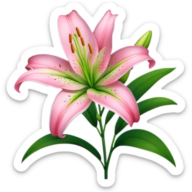 Beautiful pink lily flower with green stem and leaves sticker